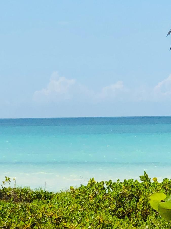 Apartament Cabana Colibri A 50 Metros De La Playa El Cuyo Zewnętrze zdjęcie